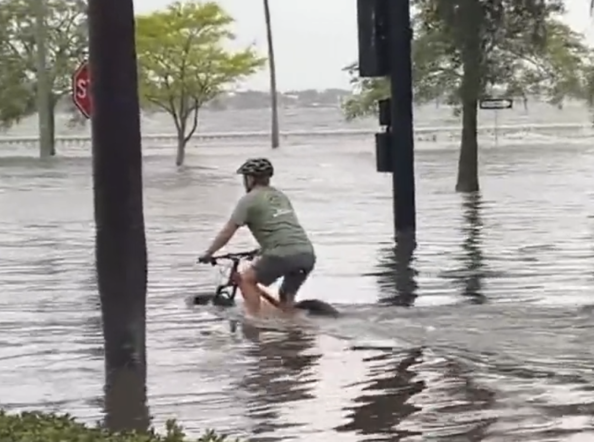 Cierto Día, en Tampa...